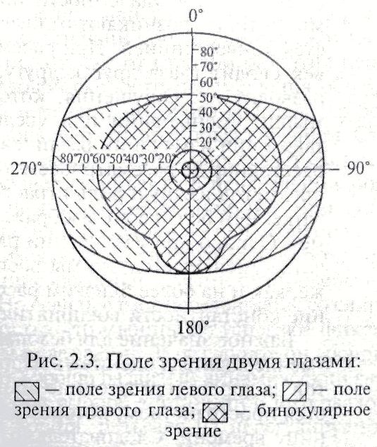 Что должно находиться в поле зрения. Поле зрения глаза. Бинокулярное поле зрения человека. Вертикальное поле зрения. Зоны поля зрения одного глаза.