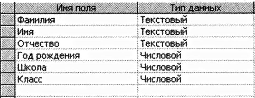 Имя поля Тип поля. Фамилия Тип поля. Год рождения Тип поля.