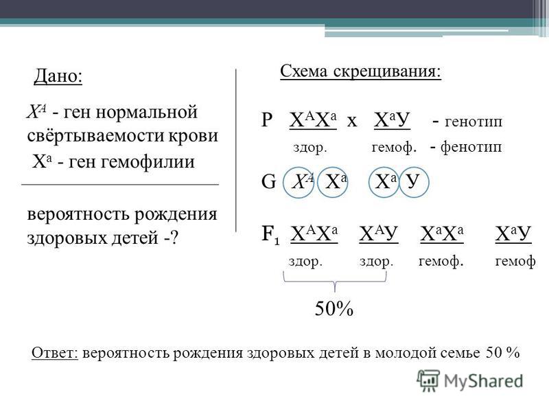 Генотип красного томата